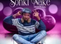 MUSIC: Meleri – Sonki Nake Feat. Zuby Star